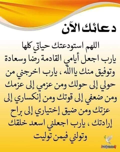 Shawqi Shanaa_JtWvE
