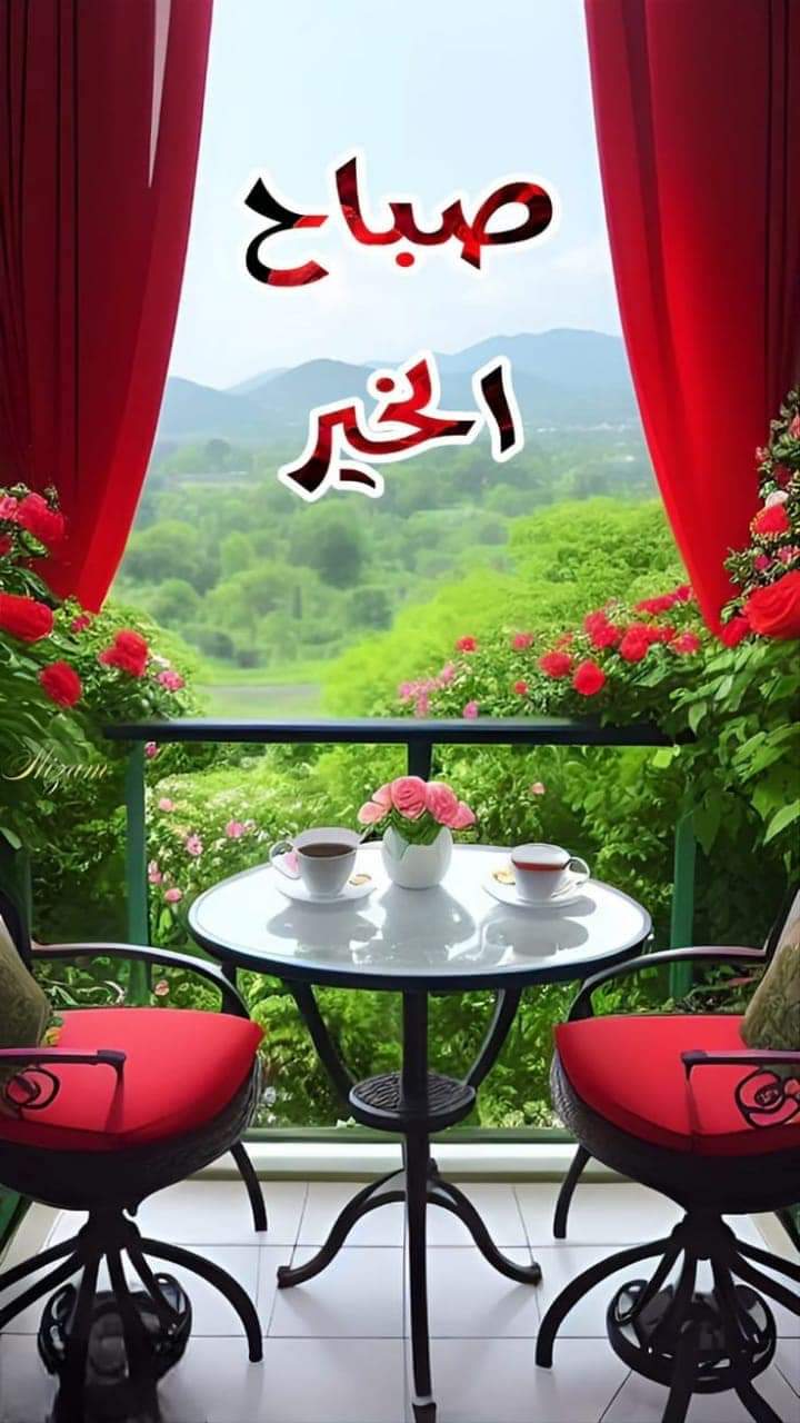 Mohamad Al Dhaybi_8oMRi